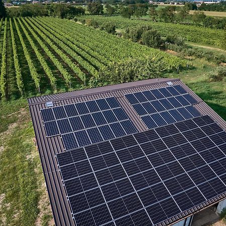Agriturismo Zappare Farm Hotel Trevignano 외부 사진